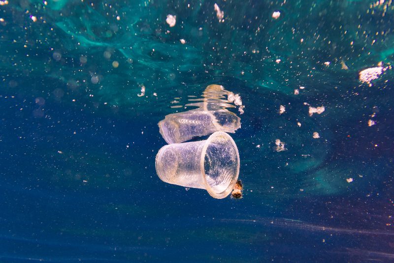 Bacterias consumen microplásticos en el océano.