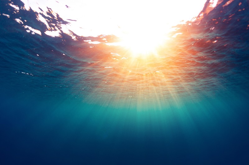 Los océanos llegaron a su punto más alto de temperatura en 2022