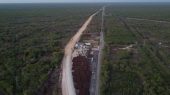 El Tren Maya en México está causando graves daños a ecosistemas