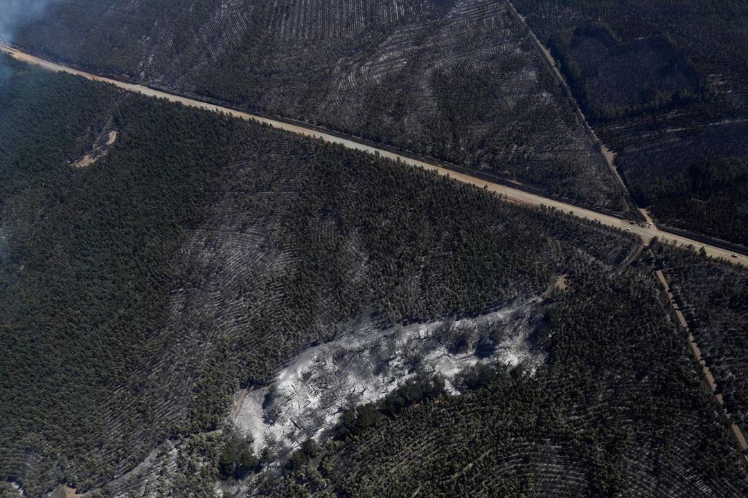 Vista aérea de un sector quemado de los bosques en el centro-sur de Chile. - Foto Juan Gonzalez/Reuers