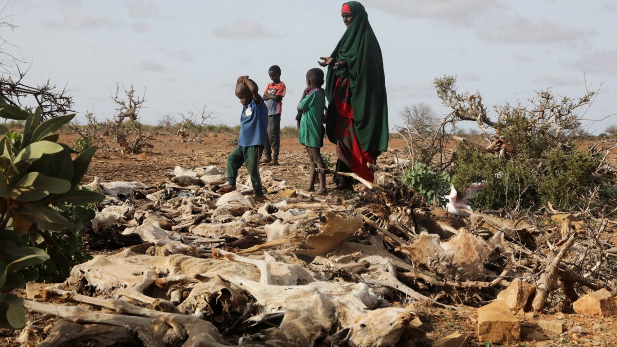 Millones de personas y animales han muerto debido a la prolongada sequía que sufre este sector de África. - Foto Feisal Omar/Reuters