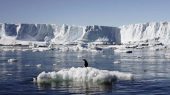 El derretimiento de plataformas de hielo antártico pueden ralentizar el flujo océanico