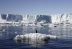 El derretimiento de plataformas de hielo antártico pueden ralentizar el flujo océanico