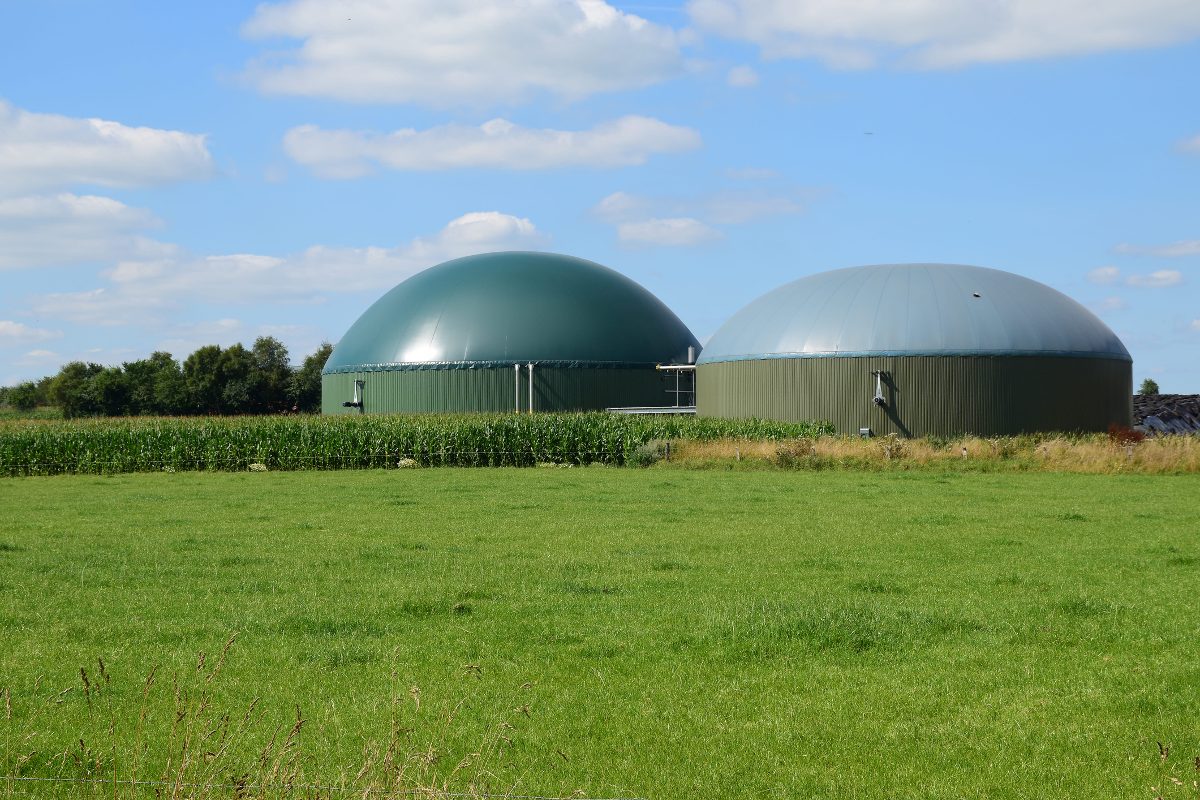 Lonas utilizadas en granjas para la producción de biogas. - Foto fermate/Gettyimages
