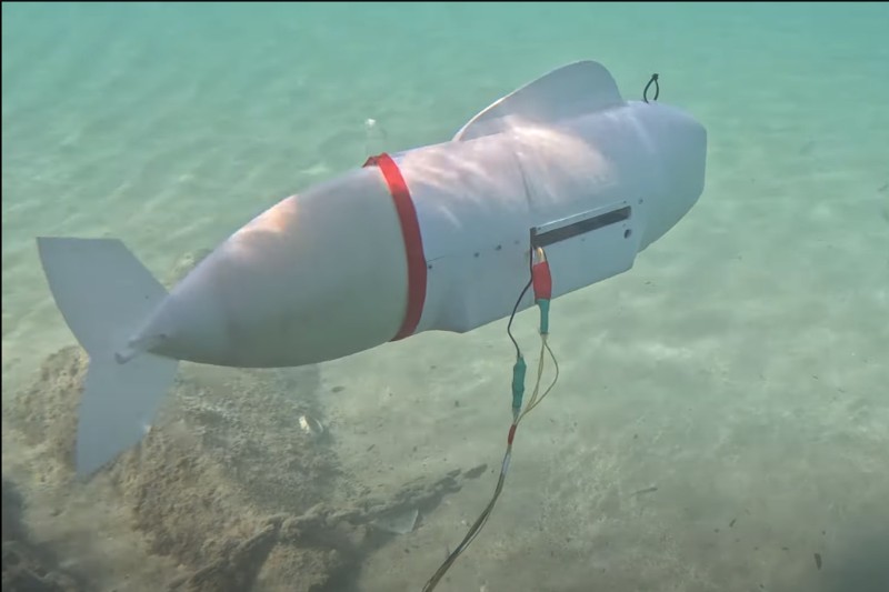 Pez robot que puede monitorear el océano sin alterar su entorno natural.