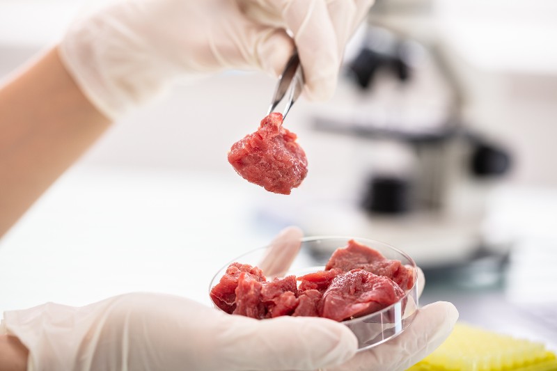 Granjeros pueden evolucionar a la carne hecha en laboratorio.