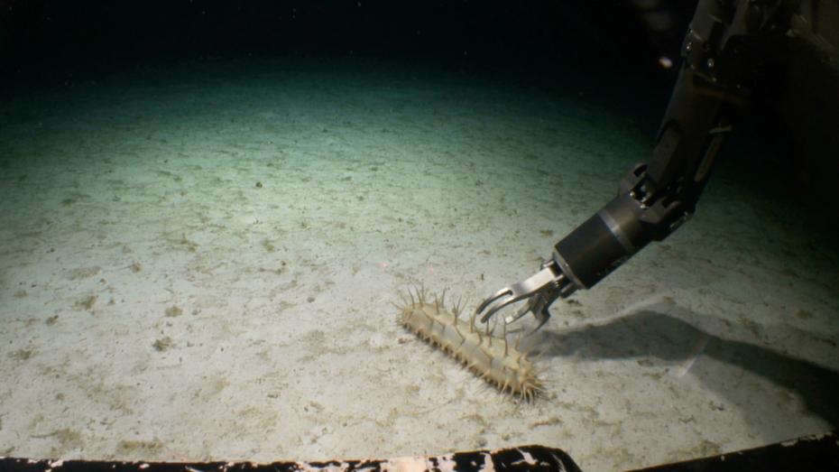 Recolección de minerales en el fondo del mar. - Foto National Oceanic and Atmospheric Administration.