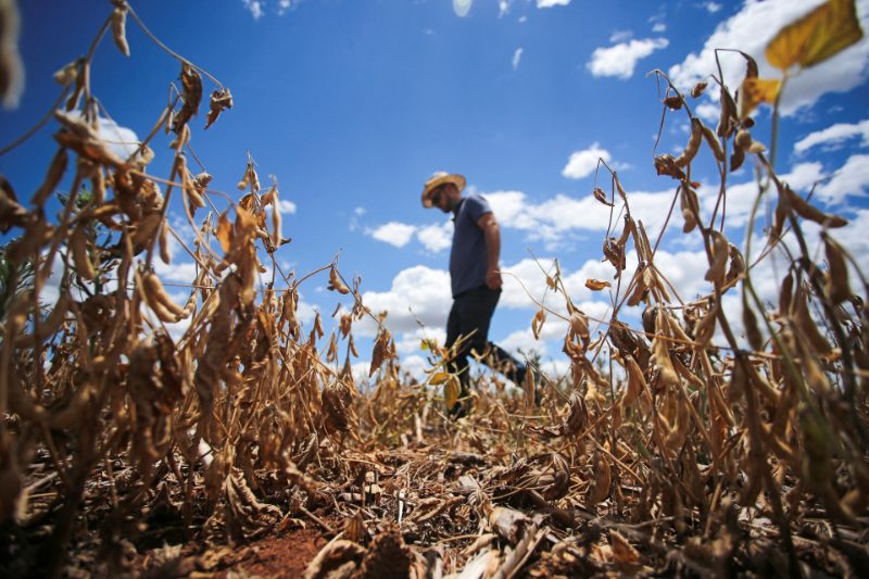 El Niño causará cambios en el clima de Latinoamérica que podrían afectar el suministro de alimentos.