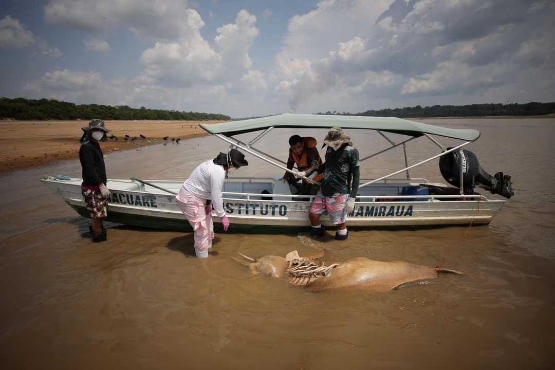 Las altas temperaturas del lago Tefe en la Amazonía mataron a cientos de delfines. - Foto Bruno Kelly/Reuters