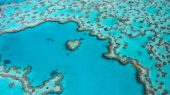 Arrecifes de coral en riesgo