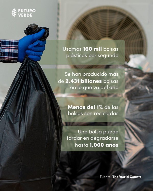 Impacto ambiental de las bolsas plásticas.