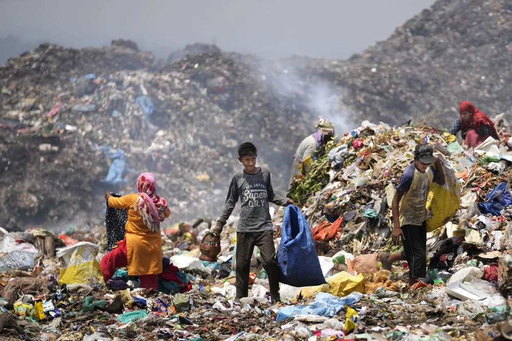 Los recolectores deben tomar descansos y aguantar "hasta el límite" para poder realizar su recolección a pesar de las altas temperaturas. - Foto Channi Anand/AP