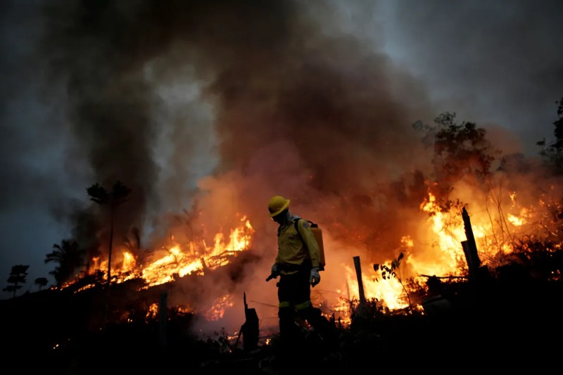 Amazonía sufre incendios forestales por sequía.