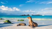 Islas Galápagos en riesgo por calentamiento de océanos.