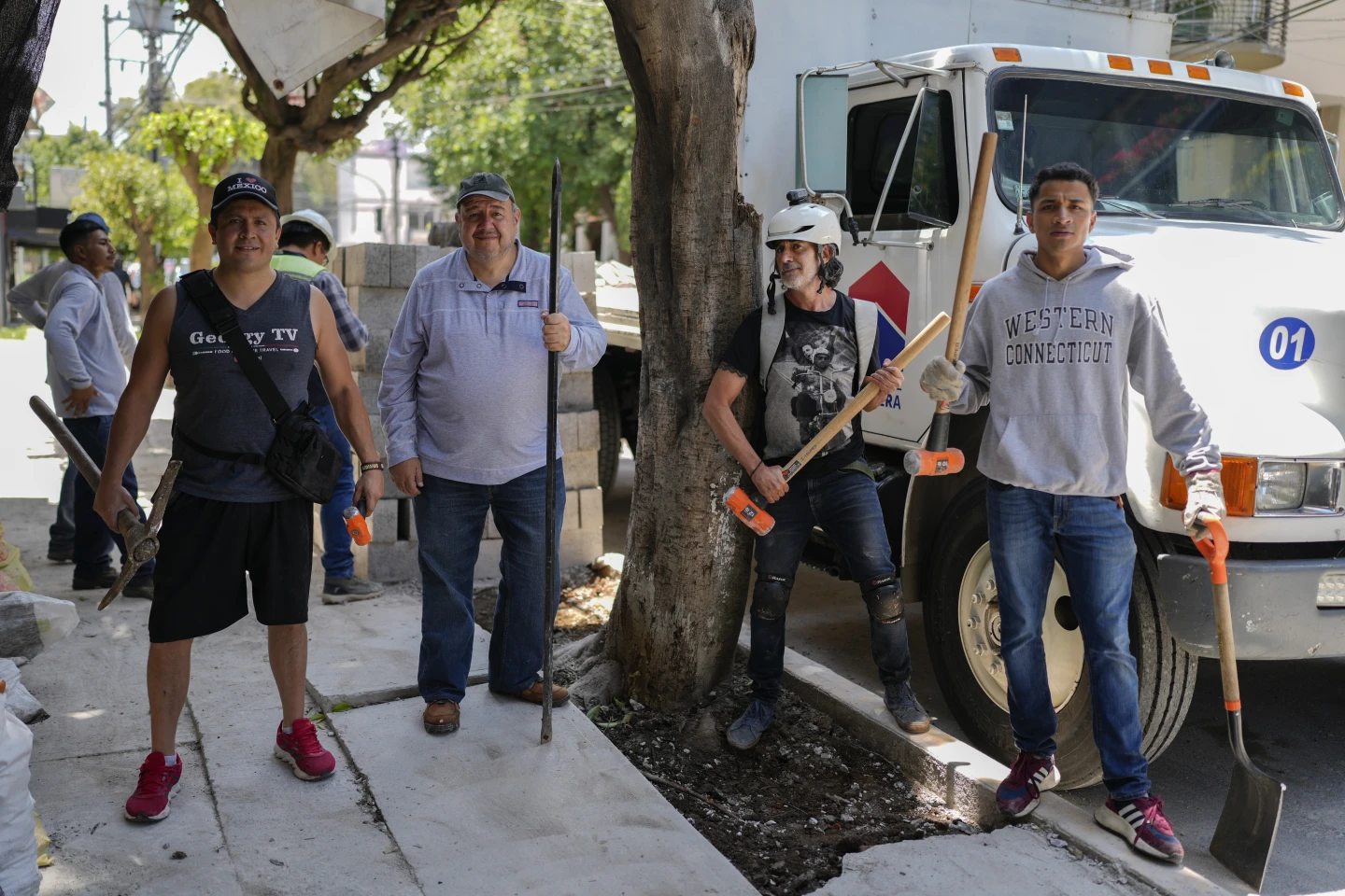 Equipo del Ejército de Árboles liberando las raíces de los árboles encapsulados por concerto en la ciudad. - Foto Eduardo Verdugo/AP