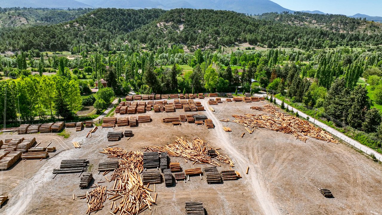 El financiamiento permite que exista mayor protección a áreas naturales esenciales para la biodiversidad, que pueden estar en riesgo por proyectos industriales. - Foto Guven Ozdemir/Gettyimages