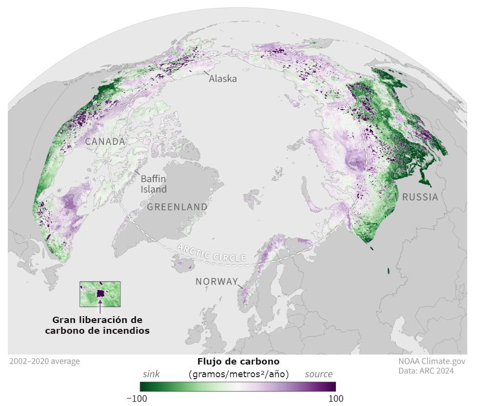 Los incendios forestales han causado un mayor impacto en la tundra ártica. LAs emisiones de incendios forestales circumpolares han promediado 207 millones de toneladas de carbono por año desde 2003. Además, el Ártico sigue siendo una fuente constante de metano. - Gráfica NOAA