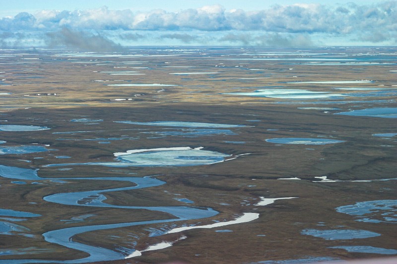 La tundra ártica emite más carbono del que absorbe