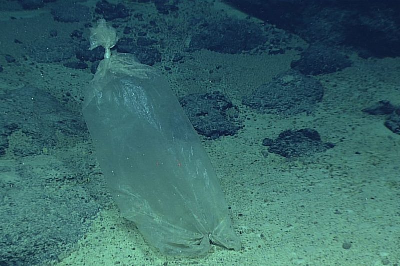 Microplásticos en el fondo del océano