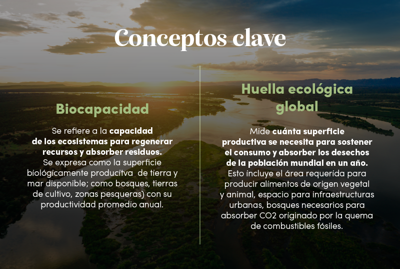 Conceptos clave para comprender el sobregiro de la Tierra: Biocapacidad y Huella Ecológica Global