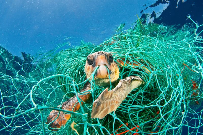 Contaminación por redes de pesca