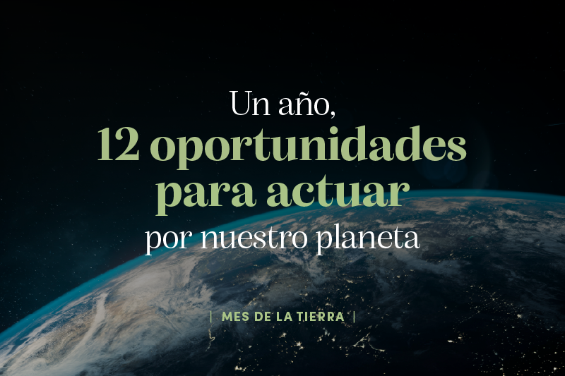 12 oportunidades para celebrar a la Tierra cada mes