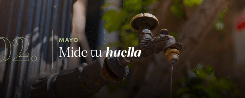 2. Mayo: Mide tu huella