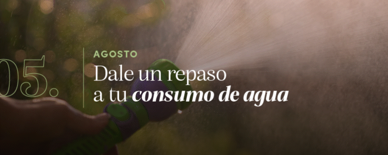 5. Agosto: Dale un repaso a tu consumo de agua 