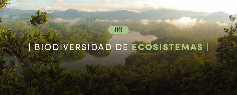 Biodiversidad de ecosistemas
