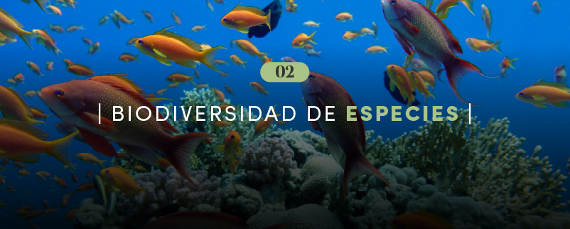 Biodiversidad de especies