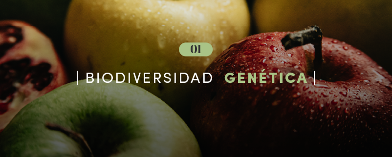 Biodiversidad genética