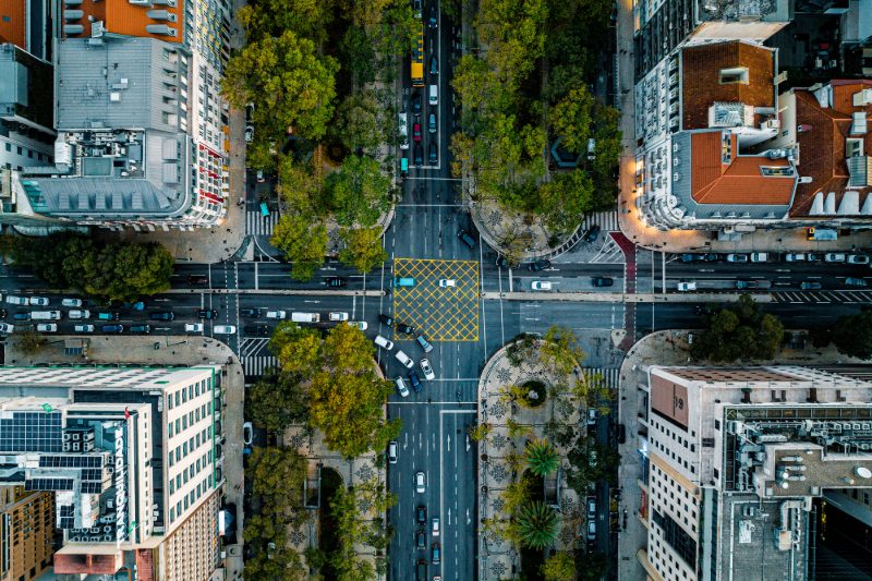 Los árboles son necesarios para todas las ciudades