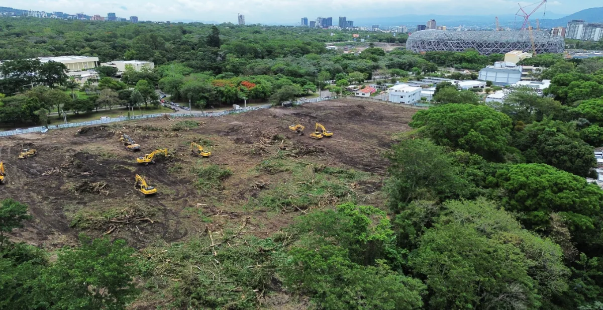 Área deforestada de El Espino en El Salvador. - Foto Luis Martínez/LPG