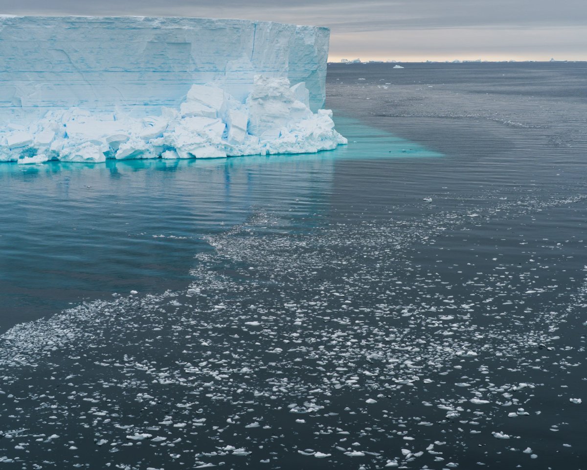 El mar de Bellingshausen presenta 650,000 km2 de hielo marino, en comparación con el promedio del período de 1991-2010. - Foto Alex Ingle/Schmidt Ocean Institute