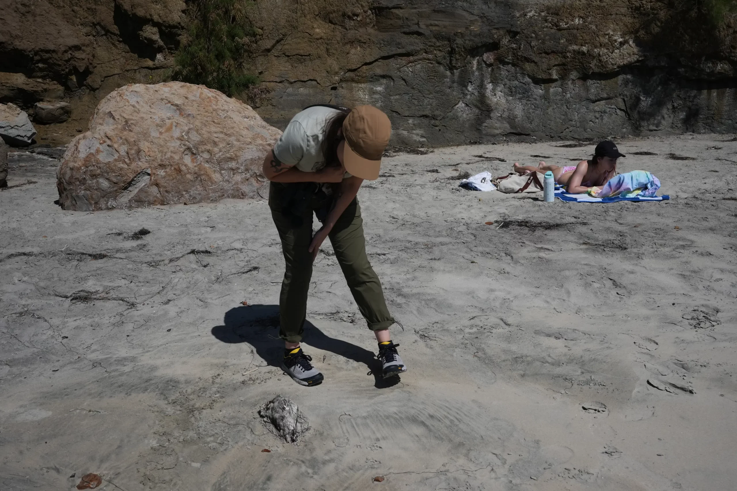 Se encontraron varias aves marinas muertas, entre ellas araos comunes, en las playas de California. - Foto Gregory Bull/AP