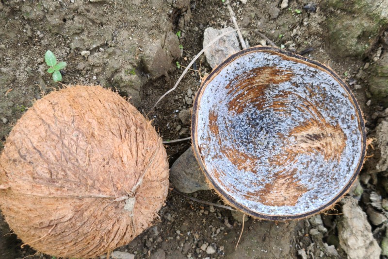 Filtros de coco para limpiar de microplásticos