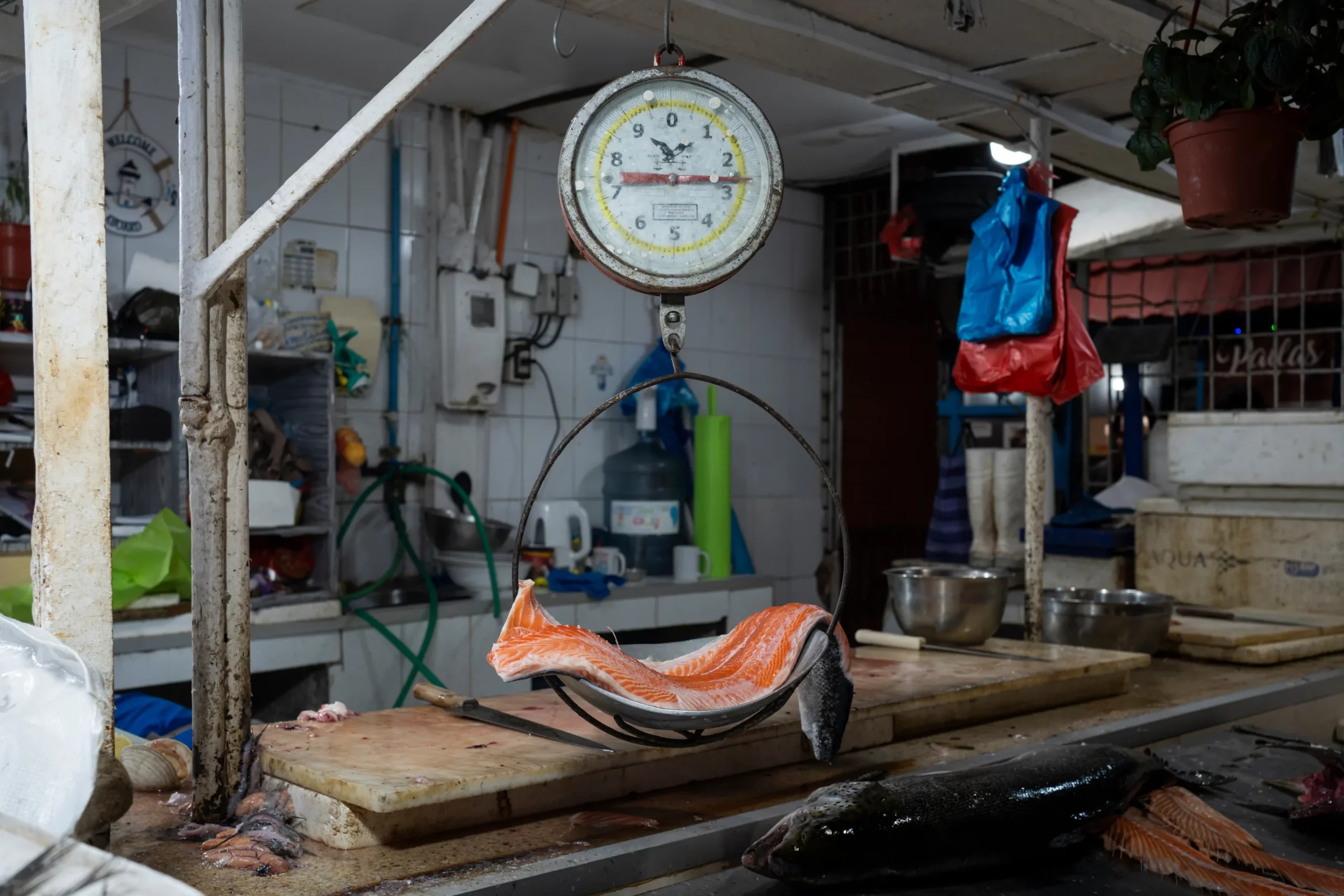 Venta de salmón en Santiago de Chile. - Foto Adriana Thomasa/AP